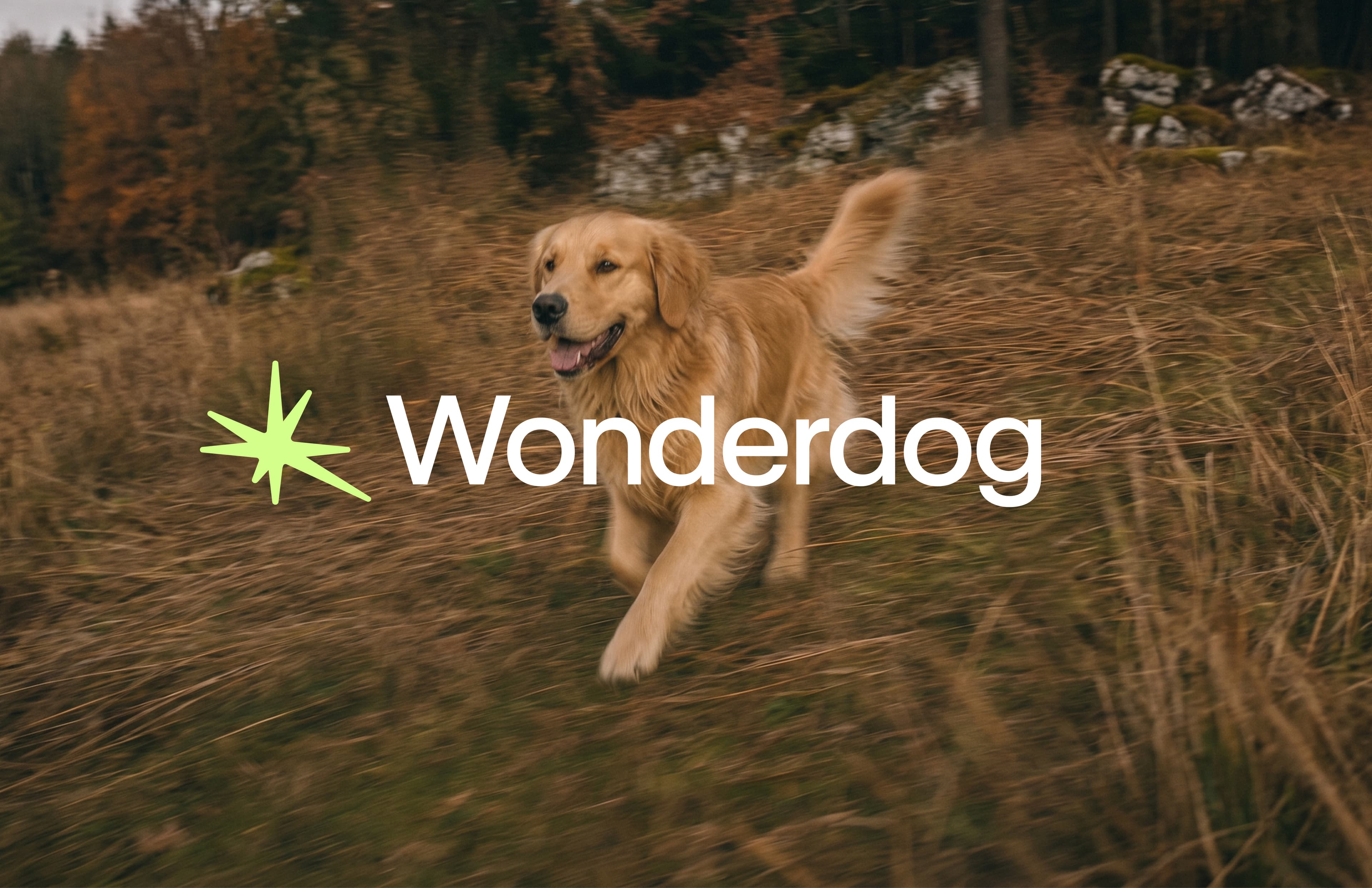 Brand image — golden, full stride
