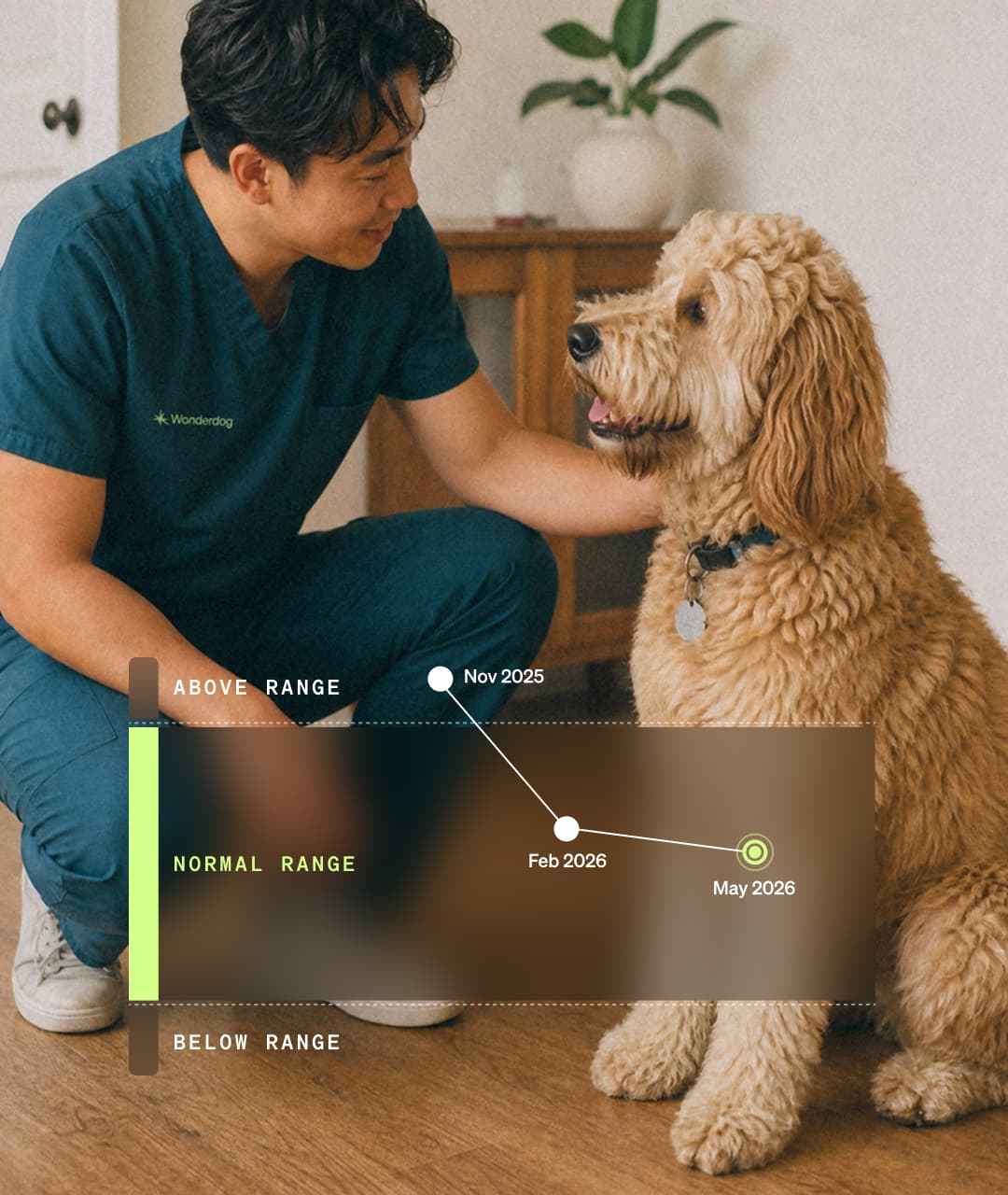 A Wonderdog vet tech crouched beside a golden doodle at home